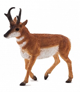 Фигурка - Антилопа вилорогая, размер 11 х 3 х 10,5 см. (Mojo, 387116)